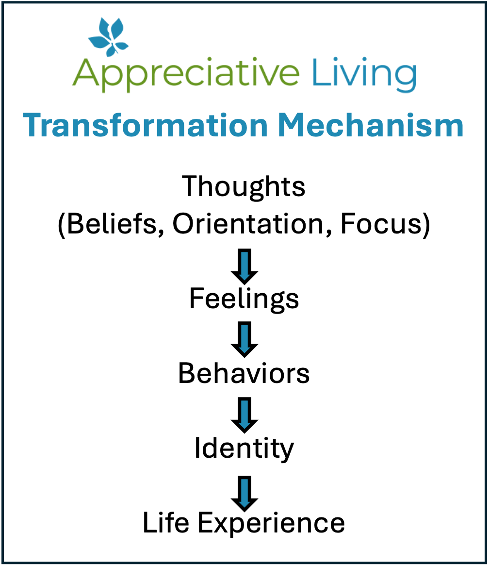 Appreciative Living transformation mechanism